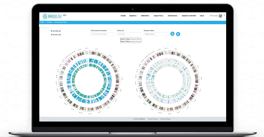 Chromosomal View